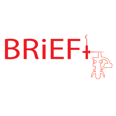Brief SRLS